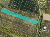 Prodej pole, Nedachlebice, 8829 m2