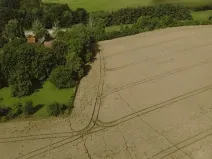 Prodej pole, Vyskeř, 3681 m2