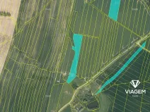 Prodej podílu pole, Tučapy, 4844 m2