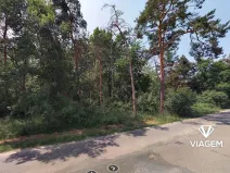 Prodej lesa, Křenek, 2867 m2