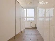 Pronájem kanceláře, České Budějovice, K. Světlé, 35 m2