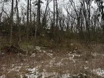 Prodej lesa, Vysoká, 5445 m2