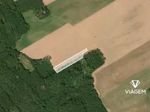 Prodej pole, Ptice, 2877 m2