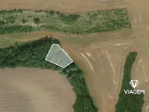 Prodej pole, Zbrašín, 1578 m2