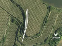 Prodej podílu pole, Uherčice, 206 m2