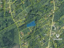 Prodej lesa, Orlová, 4764 m2