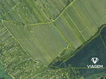 Prodej pole, Strážnice, 3361 m2