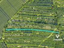 Prodej zahrady, Uherský Brod, 1931 m2