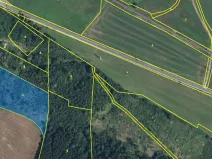 Prodej lesa, Horní Olešnice, 7037 m2