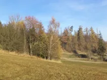 Prodej pozemku, Budišov nad Budišovkou, 60778 m2