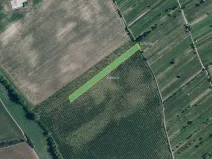 Prodej sadu/vinice, Prušánky, 4613 m2