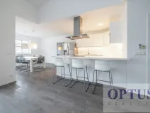 Pronájem bytu 6+kk a větší, Praha - Staré Město, Dušní, 218 m2