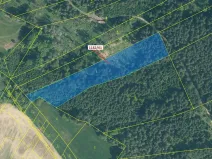 Dražba lesa, Přeborov, 11119 m2