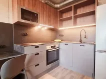 Pronájem bytu 1+kk, Brno, V rejích, 20 m2