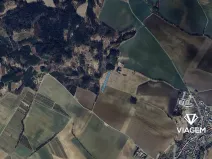 Prodej pole, Mlázovice, 5121 m2