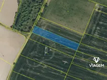 Prodej pole, Choltice, 2392 m2