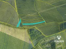 Prodej pole, Nosislav, 5643 m2