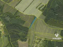 Prodej podílu pole, Městečko Trnávka, 936 m2