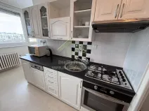 Pronájem bytu 2+1, Plzeň, Terezie Brzkové, 64 m2