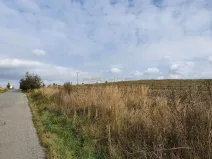 Prodej komerčního pozemku, Osová Bítýška, 12981 m2
