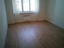 Pronájem bytu 1+1, Praha - Žižkov, Hájkova, 40 m2