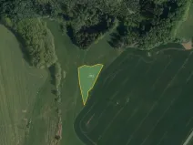 Prodej pole, Třemošnice, 41424 m2