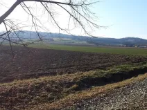 Prodej pozemku pro bydlení, Libina, 1382 m2