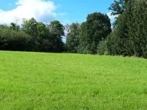 Prodej komerčního pozemku, Mohelnice, 4599 m2