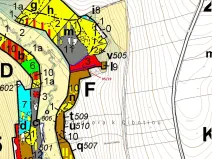 Dražba lesa, Žižkovo Pole, 121 m2