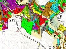 Dražba lesa, Žižkovo Pole, 8330 m2