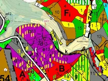 Dražba lesa, Žižkovo Pole, 5060 m2