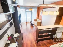 Pronájem bytu 1+kk, Praha - Nusle, Sekaninova, 33 m2