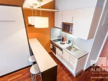 Pronájem bytu 1+kk, Praha - Nusle, Sekaninova, 33 m2