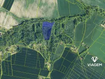 Prodej podílu lesa, Sobotka, 2241 m2