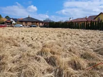 Prodej pozemku pro bydlení, Kostelní Hlavno, 1200 m2