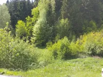 Prodej pozemku pro bydlení, Tanvald, 7310 m2