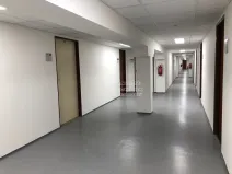 Pronájem kanceláře, Praha - Karlín, Thámova, 23 m2