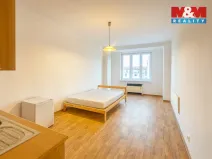 Pronájem bytu 1+kk, Praha - Nusle, V Horkách, 25 m2