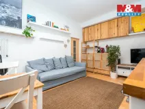 Prodej bytu 2+kk, Praha - Nusle, U družstva Ideál, 47 m2