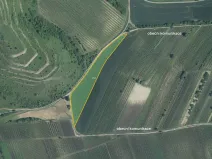 Prodej pole, Dolní Dunajovice, 139332 m2