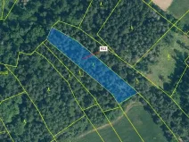 Dražba lesa, Kovčín, 2882 m2