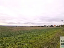 Prodej pole, Mělník, Kokořínská, 27040 m2