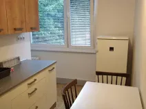 Pronájem bytu 3+1, Pardubice, Bělehradská, 60 m2