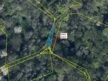 Dražba lesa, Zubrnice, 85 m2