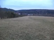 Dražba pole, Tis u Blatna, 6625 m2