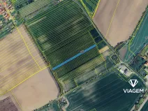 Prodej podílu pole, Moravany, 890 m2