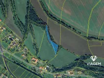 Prodej pole, Linhartice, 3044 m2