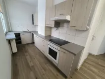 Pronájem bytu 2+1, Ústí nad Labem, Hornická, 55 m2