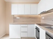 Prodej bytu 2+1, Opava, Černá, 43 m2