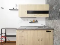 Pronájem bytu 1+1, Ostrava, Mariánskohorská, 41 m2